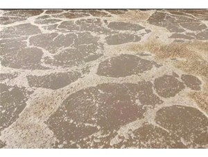 廢水處理中常用的氧化劑和還原劑有哪些？